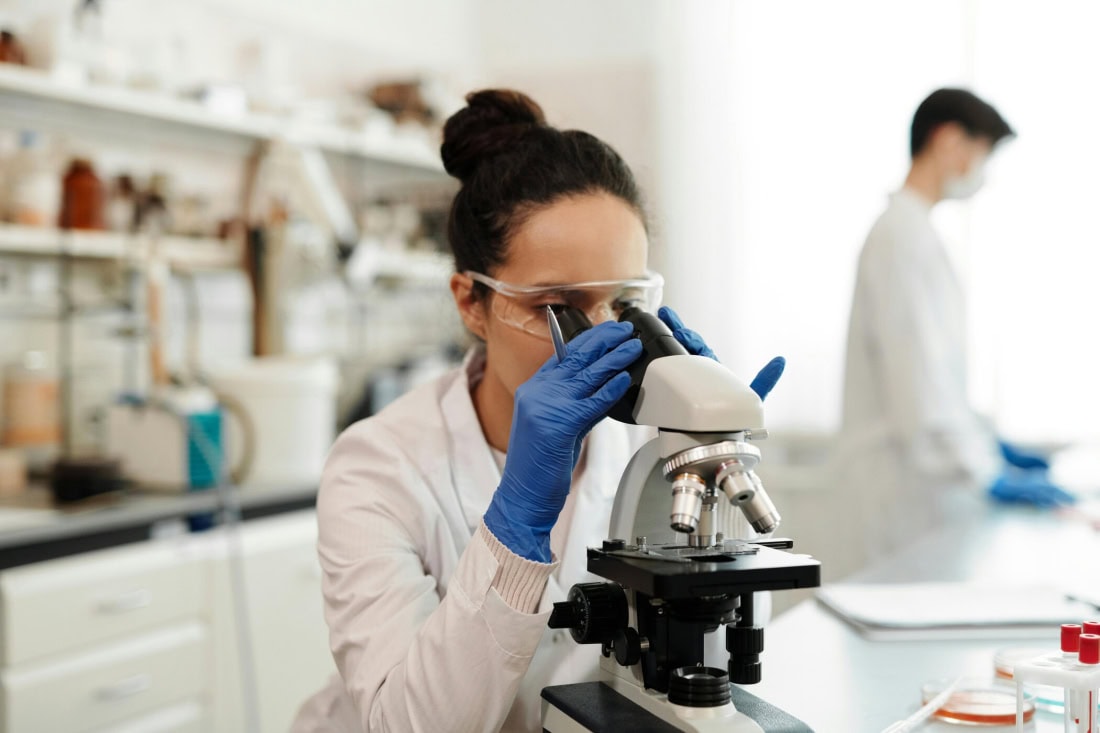 Scientist examines samples with microscope in laboratory.
