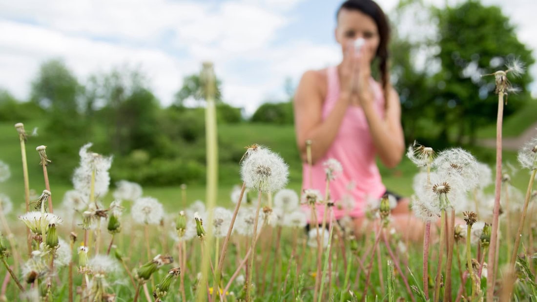 Hay fever symptoms and remedies in a green garden with woman coughing or sneezing.