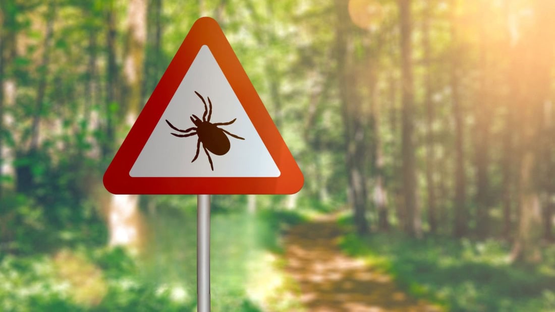 Text on warning sign about tick bites in wooded area.